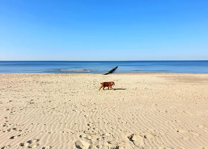 A-apartments - Podczele